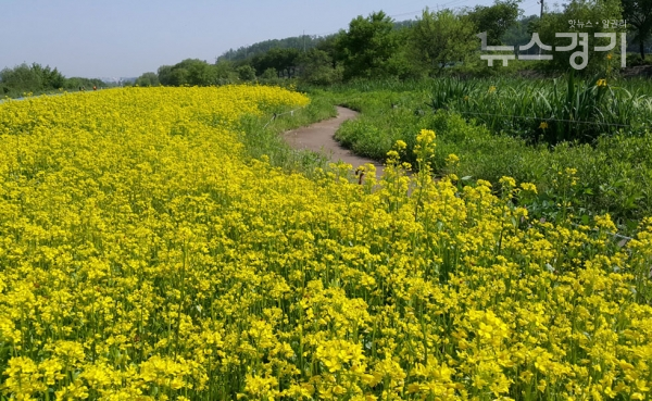 사진=성남시청 환경정책과