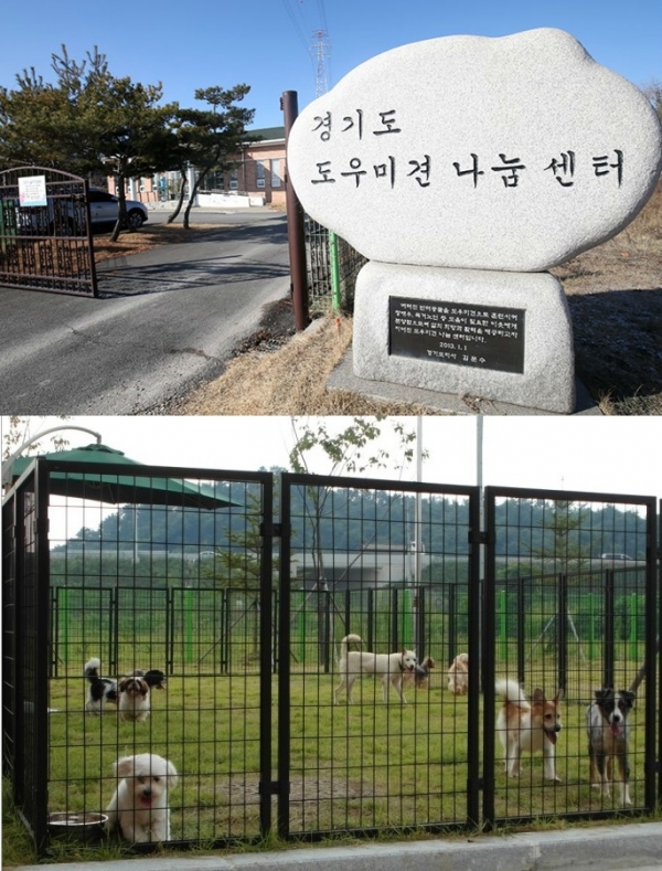*경기도 도우미견나눔센터-유기견들을 도우미견 및 반려견으로 훈련시켜 독거노인 등 필요한 도민들에게 분양하는 곳
