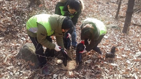 이미지 자료사진 이미지 자료사진