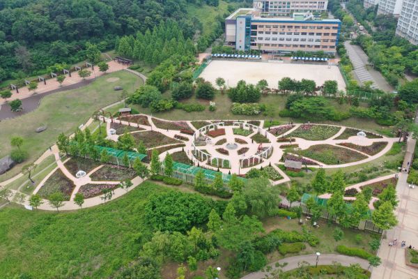 오산시 ‘장미꽃의 향연 ’고인돌공원 장미마을