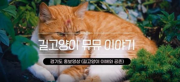 유기동물 인식개선 “길고양이 뮤뮤 이야기” 홍보 영상 자료