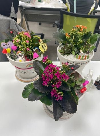 청소년동반자 문화체험 ‘꿈 담은 힐링 정원 만들기’