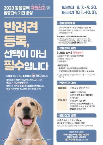 동물등록 자진신고 포스터