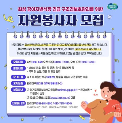 자원봉사자 모집