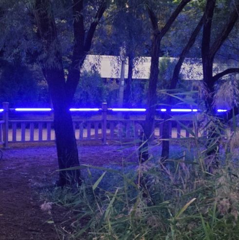 상동호수 주변 울타리에 설치된 안전사고 방지 시스템. 위험 상황 발생 시 푸른빛으로 변한다.