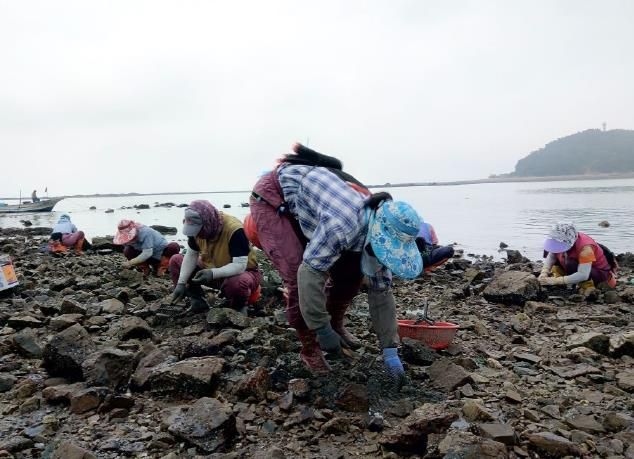 여성어업인 건강검진지원