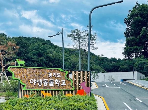 야생동물학교