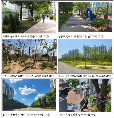 도시숲 조성 현황사진
