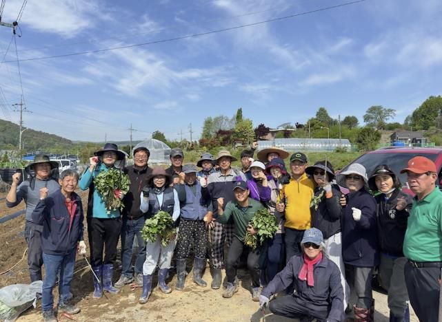 안성시 삼죽면 농업경영인회, 고구마 심기 행사 실시