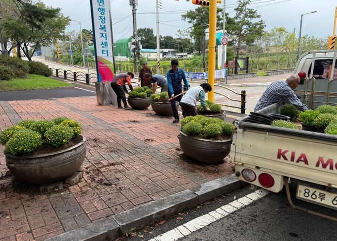 현덕면 바르게살기운동위원회, 가을꽃 심기로 행정복지센터 경관 개선