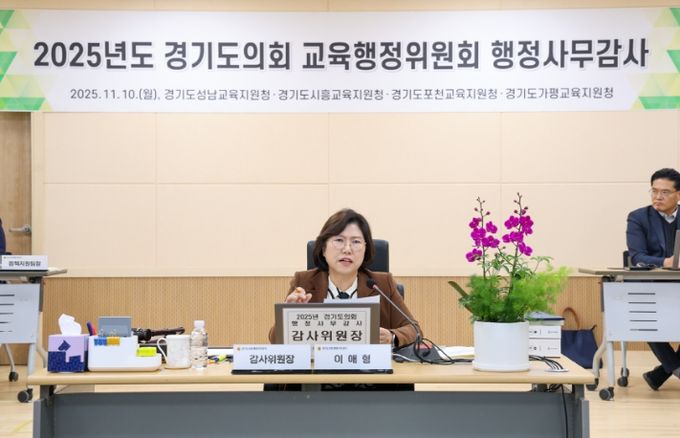 경기도의회 이애형 의원