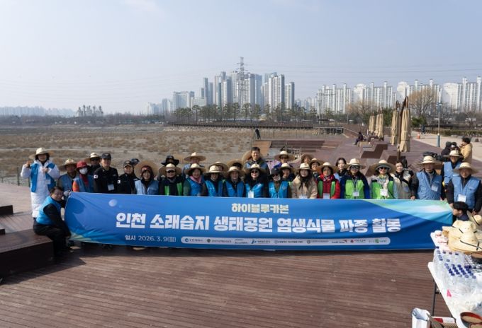 래습지서 갯벌 생태계 복원을 위한 염생식물 파종 실시