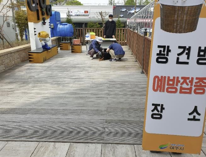 여주시, 상반기 광견병 무료 접종 실시