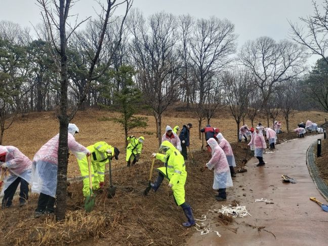 나무심기행사 사진
